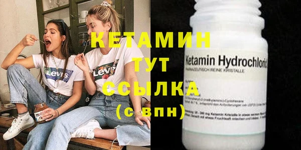 индика Беломорск