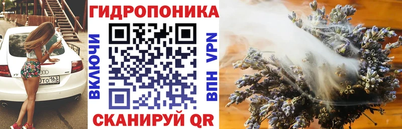 Канабис план  цена наркотик  Верхняя Тура 